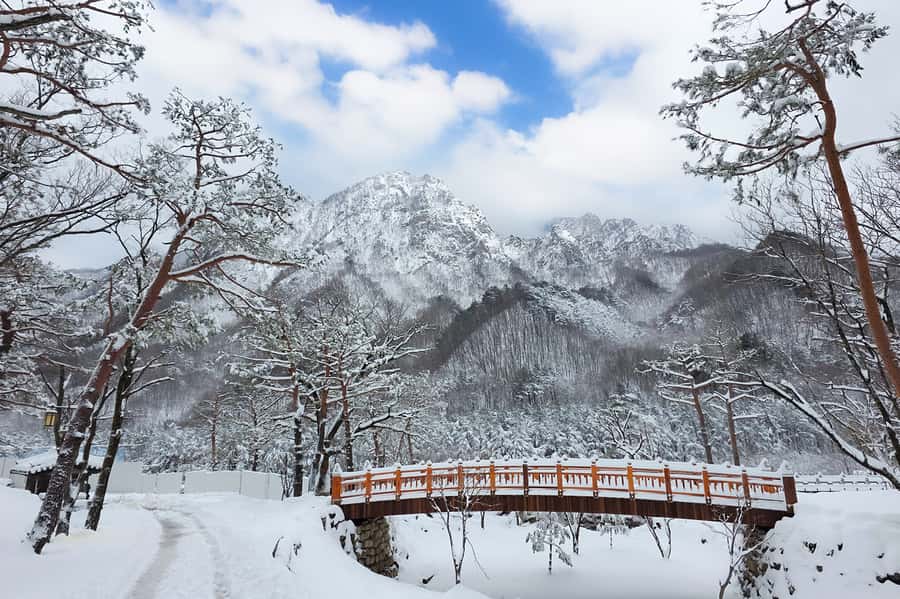 Seoul: Seorak Mountain+Nami Island+Eobi Ice Valley Tour - Seoraksan Winter Views and Sacred Stops: Tongil Daebul + Sinheungsa