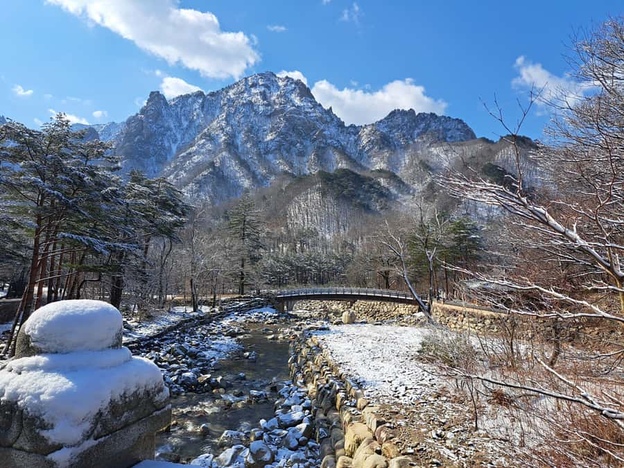Seoul: Seorak Mountain+Nami Island+Eobi Ice Valley Tour - Eobi Ice Valley Frozen Waterfalls (and the Plan B)