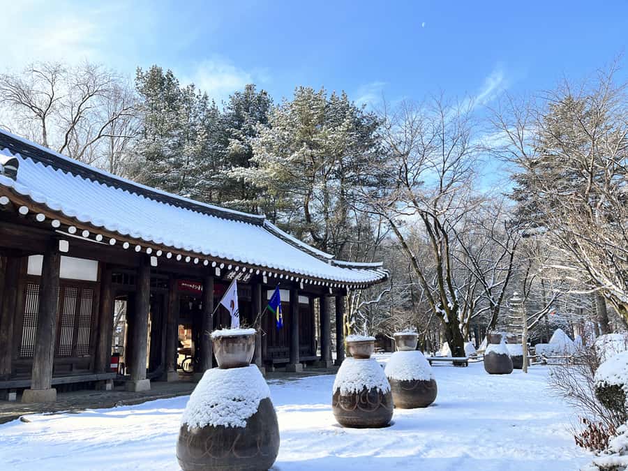 Seoul: Seorak Mountain+Nami Island+Eobi Ice Valley Tour - Price Check: Is $79 Good Value for This Full-Day Combo?