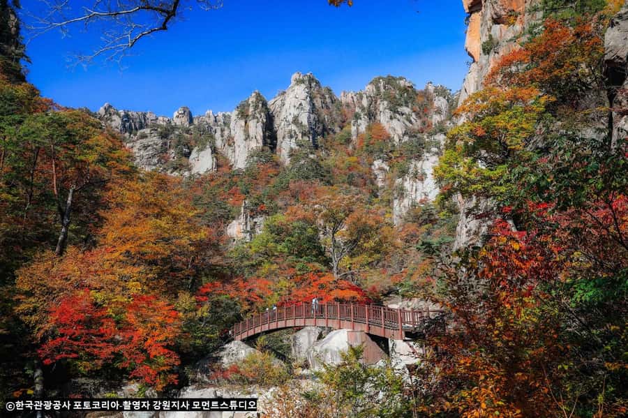 Seoul: Seorak Mountain+Nami Island+Eobi Ice Valley Tour - What to Wear and How to Survive a Cold, Full Day