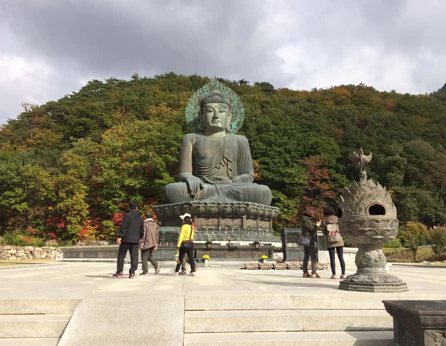 Seoul: Seorak Mountain+Nami Island+Eobi Ice Valley Tour - Who This Seoul Winter Tour Suits Best