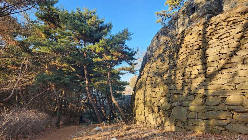 Seoul: Services of a Local for a Day (Paperwork/Tour/Fun) - The timing: 8 hours, with a long-day feel from pickup