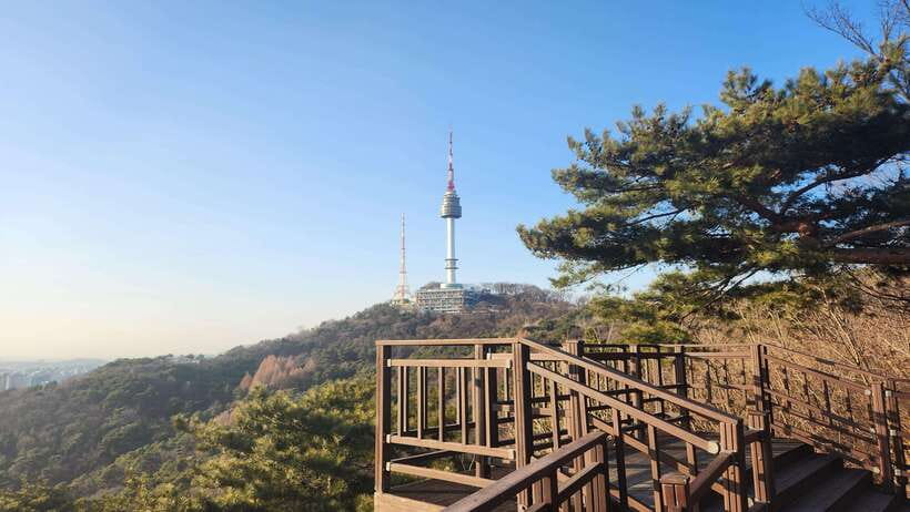 Seoul: Services of a Local for a Day (Paperwork/Tour/Fun) - Who you are really hiring: Sooyoung Cha’s mix of guide + fixer