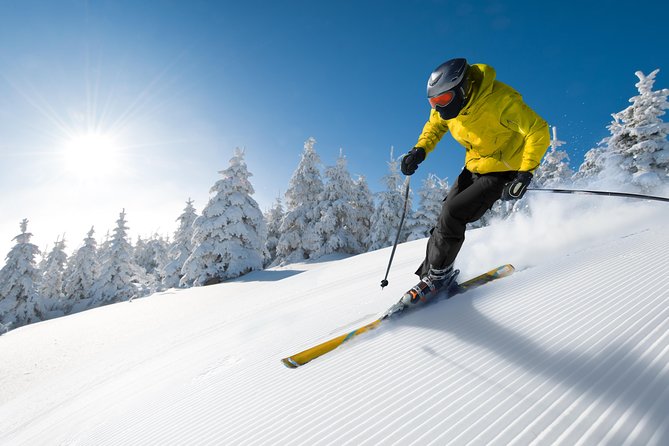 Seoul Ski Tour at Jisan Forest Resort - Warm Stops Along the Way: Ginseng Center or Duty Free