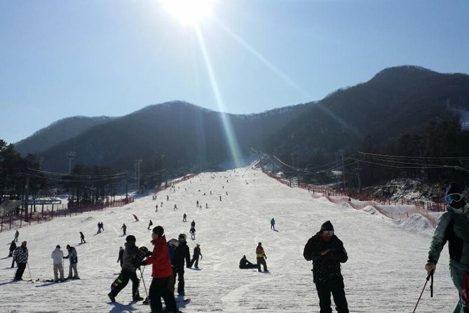 Seoul Ski Tour at Jisan Forest Resort - Cost and Value: What $48.72 Covers and What You Must Budget