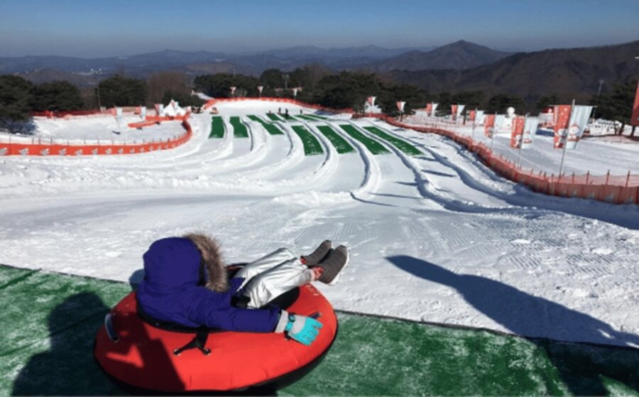 Seoul: SnowyLand in Vivaldi Park with Nami or Alpaca - Snowy Land in Vivaldi Park: sled hills, snow village energy, and kid time