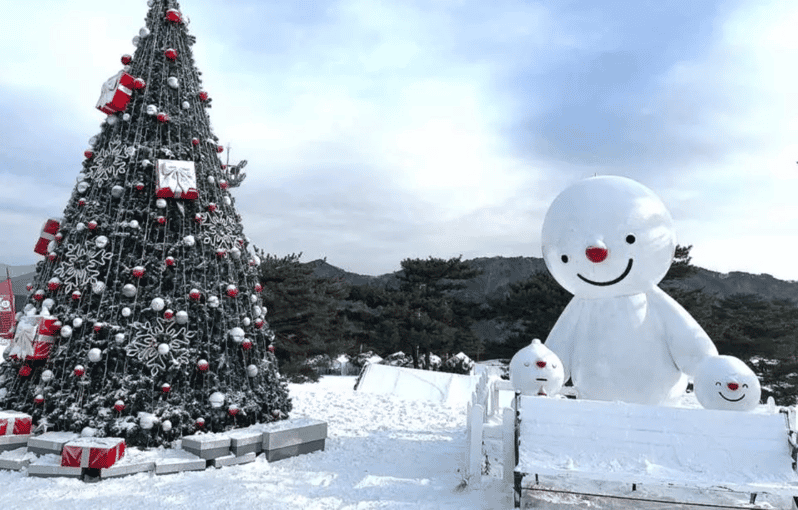 Seoul: SnowyLand in Vivaldi Park with Nami or Alpaca - Where the day can feel tight: queues and limited slots