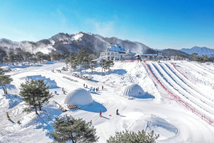 Seoul: SnowyLand in Vivaldi Park with Nami or Alpaca - A note on your guide: the human factor matters on busy days