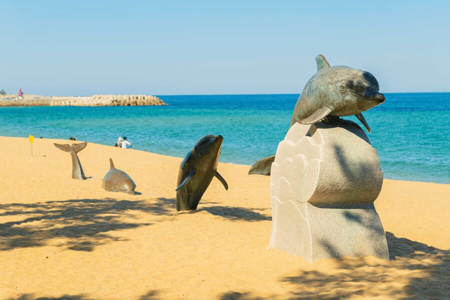 Seoul: Sokcho beach, market, hot spring and Seorak Cable Car - Price and Value: Is $76 Worth It?