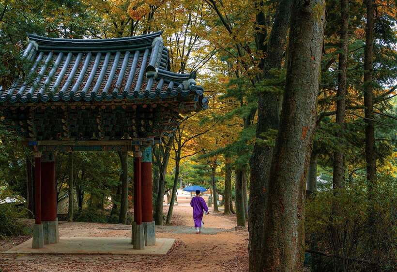 Seoul Sunrise & Sunset Hike + Temple & K-Food Adventure - Key things that make this tour worth your time