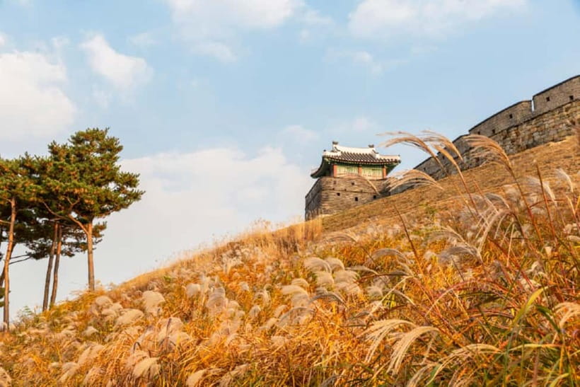 Seoul: Suwon Hwaseong Fortress & Korean Folk Village Tour - Korean Folk Village: Traditional Houses, Performances, and Real Photo Spots