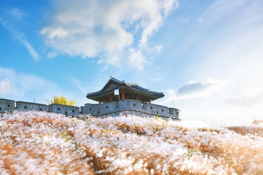 Seoul : Suwon Hwaseong Fortress+Starfield Library+Waujeongsa - Starfield Library Suwon: A Modern Stop That’s Worth Planning Around
