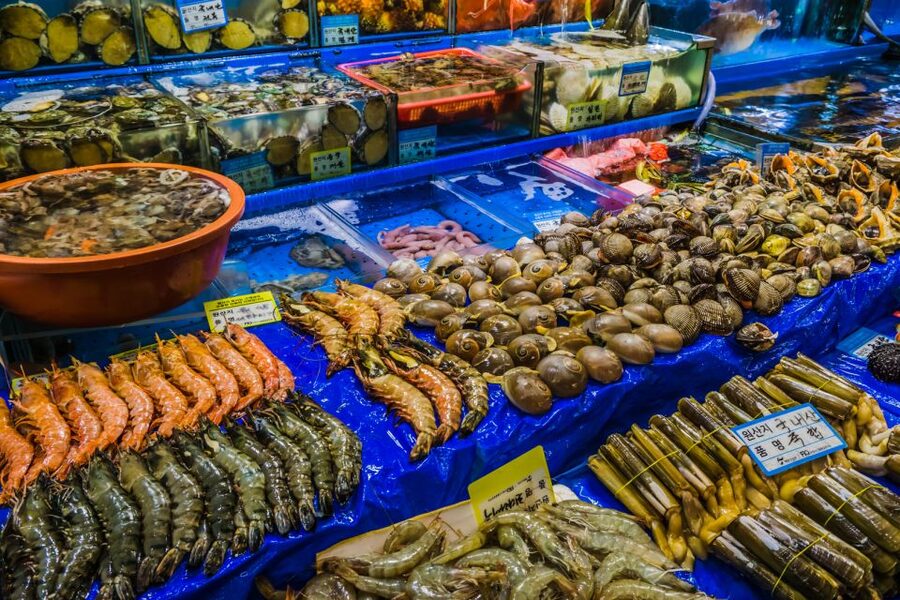Seoul: The Biggest Sea-food Noryangjin Market Tour - The market walk: learning the seafood Koreans eat most