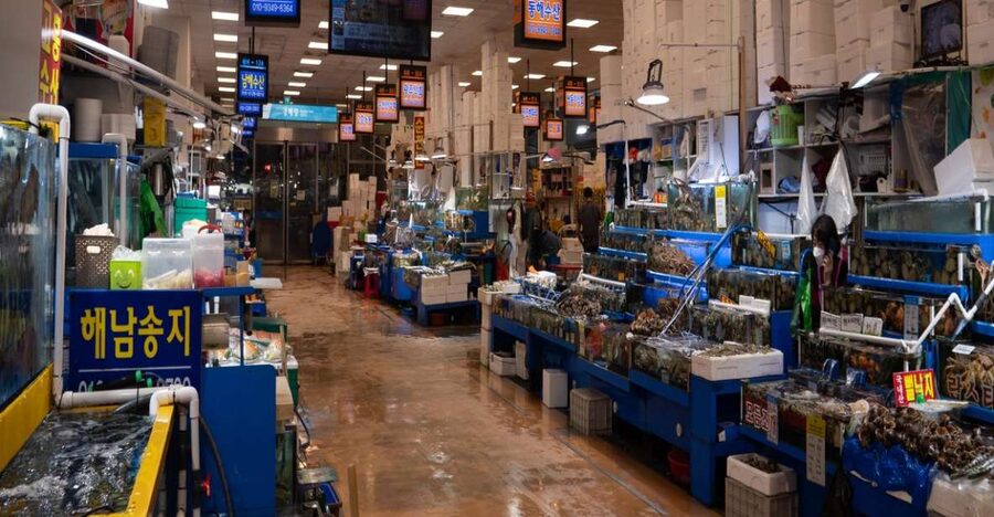 Seoul: The Biggest Sea-food Noryangjin Market Tour - Practical tips so you enjoy Noryangjin without stress