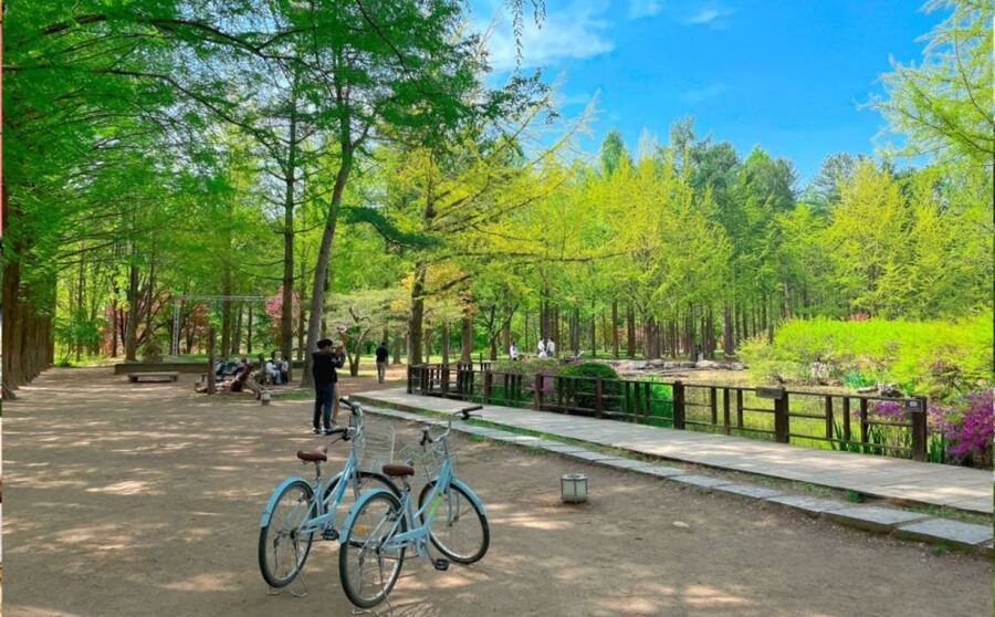 Seoul: The Painter Show with Nami Island - Who this tour fits best (and who might want another plan)