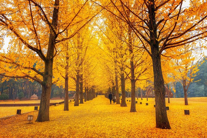 Seoul to/from Nami Island: Round trip Shuttle Bus Service - Price, value, and what you’re actually paying for