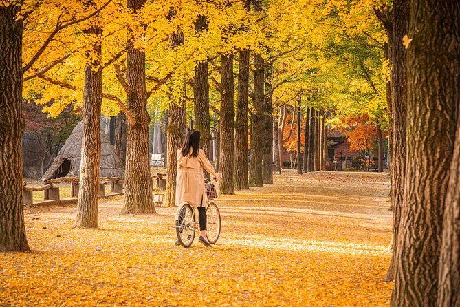 Seoul to/from Nami Island: Round trip Shuttle Bus Service - Communication and meeting-day stress: what to watch for