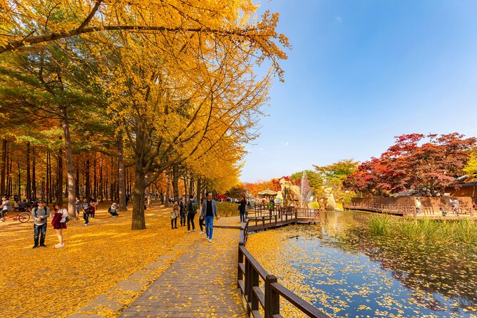 Seoul to/from Nami Island: Round trip Shuttle Bus Service - The driver and any on-the-way stop you might see