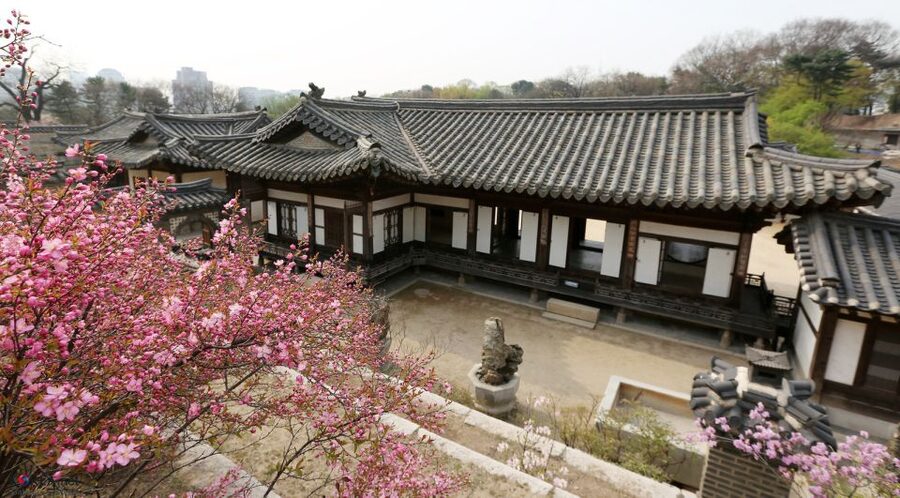 Seoul: UNESCO Sites tour: Palace, Shrine & Bukchon Village - Who this tour is best for (and who should skip it)