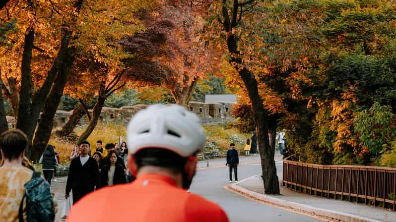 Seoul: Urban Nature Bike Tour along Han River - Pacing and comfort: why this tour suits beginners and families