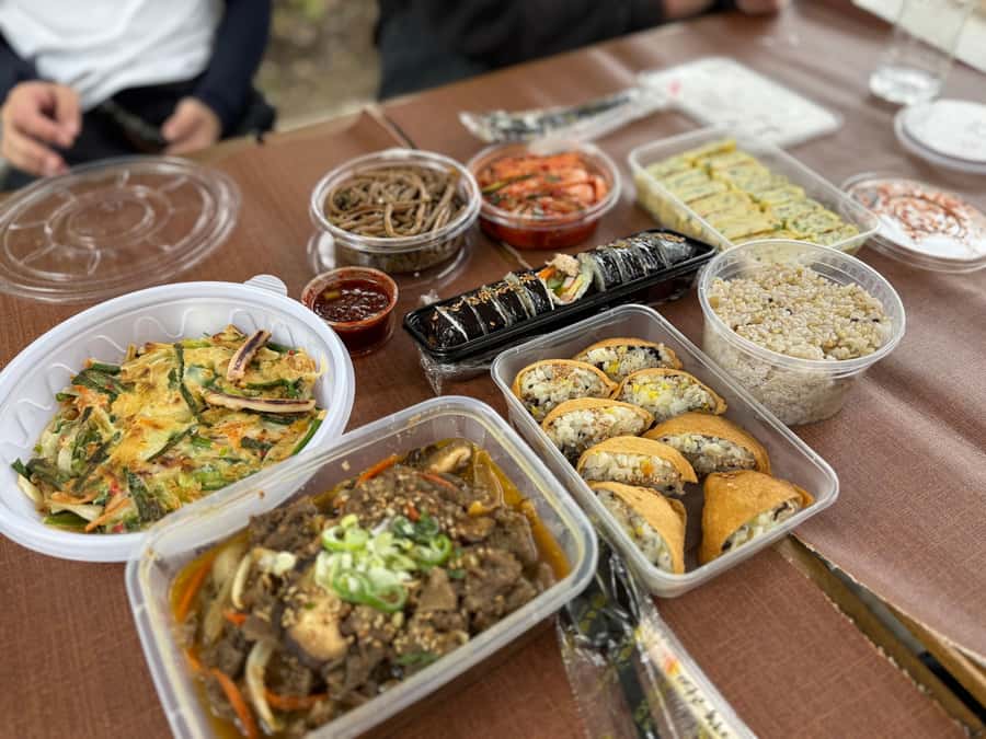Seoul: Urban Nature Bike Tour along Han River - Optional Han River picnic: do it like a Seoulite