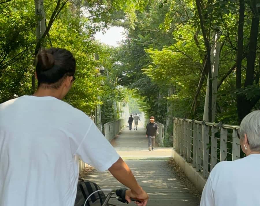 Seoul: Urban Nature Bike Tour along Han River - Getting started at Jayang Station and the Ttukseom launch