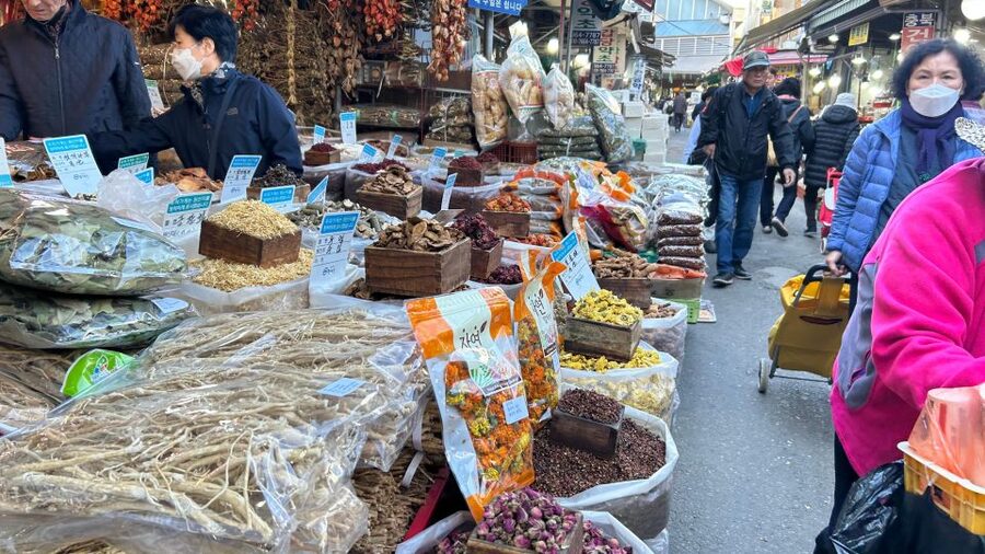 Seoul: Vegan Temple Food Class, Jogyesa & Changdeokgung Tour - Who Should Book This (and Who Should Skip It)