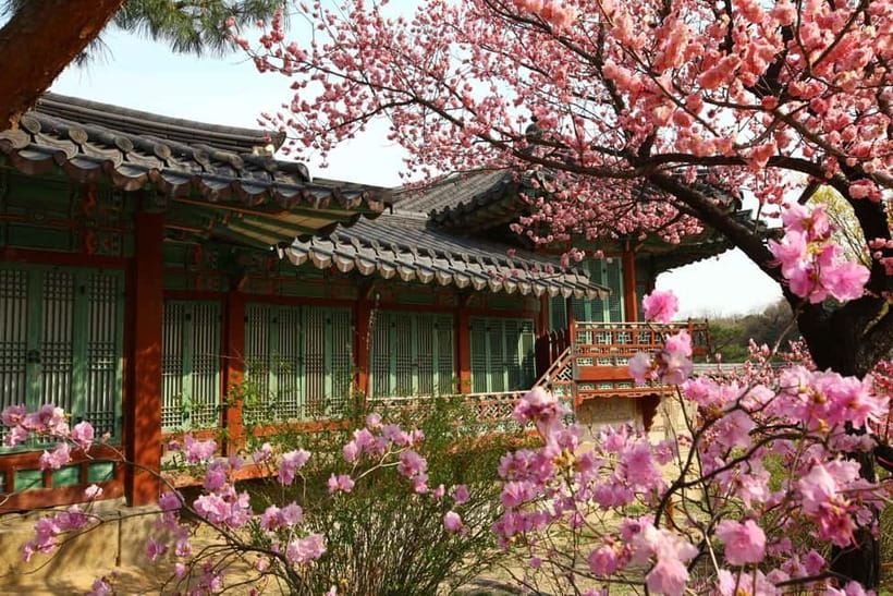 Seoul: Vegan Temple Food Class, Jogyesa & Changdeokgung Tour - Insadong on Foot: Traditional Culture Without the Pressure