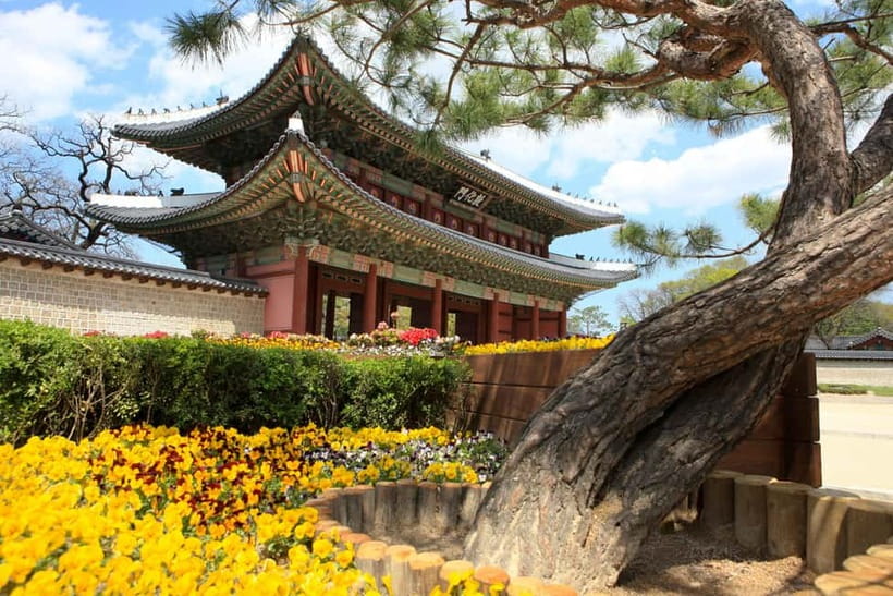 Seoul: Vegan Temple Food Class, Jogyesa & Changdeokgung Tour - Practical Tips: How to Make the Day Feel Effortless