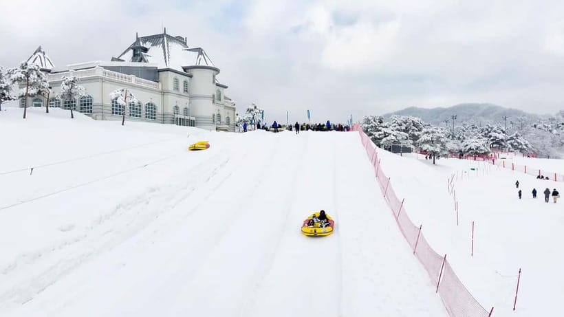 Seoul: Vivaldi Park Winter Ski with Nami Island Day Tour - Key tour highlights you’ll actually feel on the day