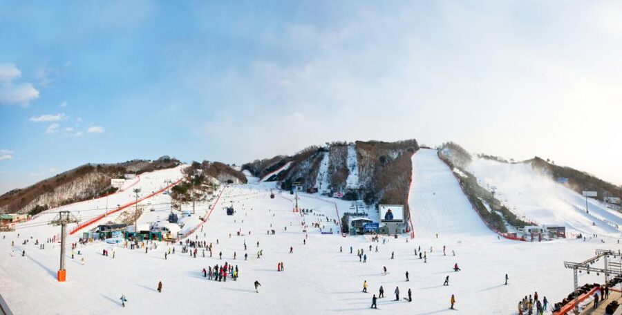 Seoul: Vivaldi Park Winter Ski with Nami Island Day Tour - Final call: should you book this winter ski-and-island tour?