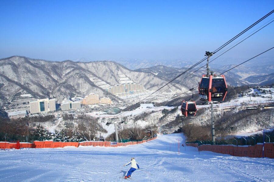 Seoul: Vivaldi Park Winter Ski with Nami Island Day Tour - Vivaldi Park Ski World: beginner runs, lifts, and what the included lesson covers