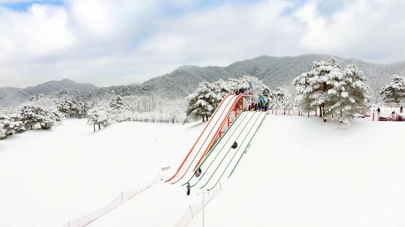Seoul: Vivaldi Park Winter Ski with Nami Island Day Tour - Snowyland sled option: winter fun without ski technique