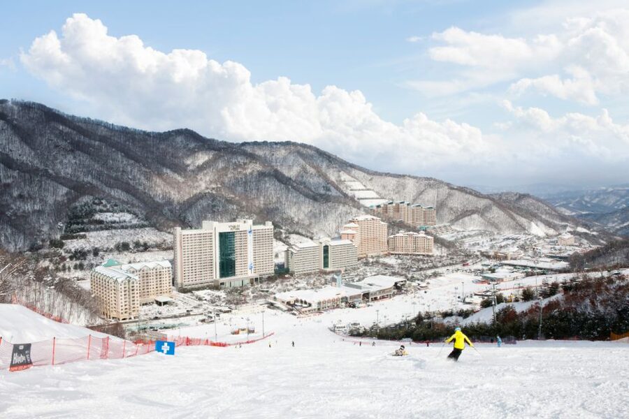 Seoul: Vivaldi Park Winter Ski with Nami Island Day Tour - Nami Island in winter: photo stops, slow walks, and what to do with 3 hours