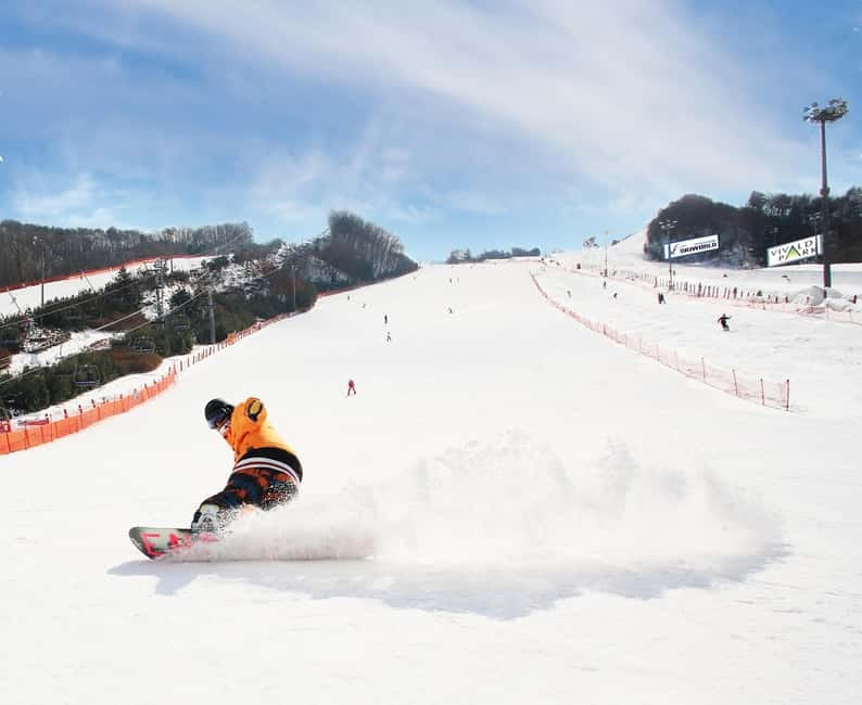 Seoul: Vivaldi Park Winter Ski with Nami Island Day Tour - Who this tour suits best (and who might get frustrated)