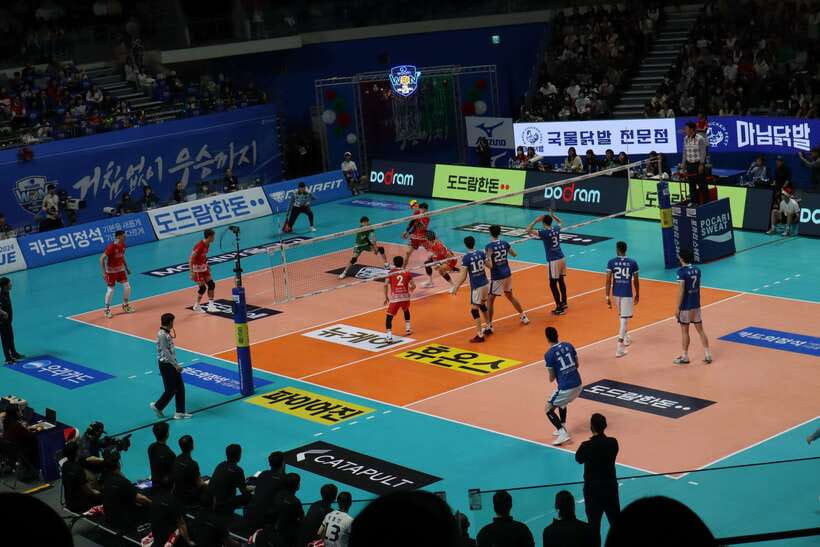 Seoul: Watching Sports Match & Local Food Experience - Meeting point and stadium locations by sport in Seoul