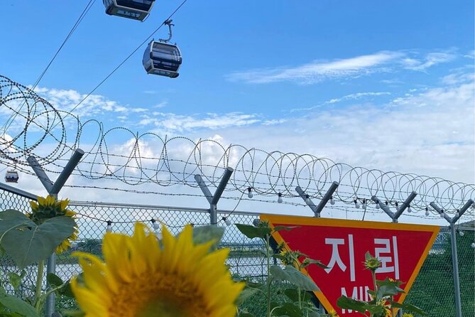 Signature DMZ Tour: Exclusive Defector Talk & Suspension Bridge - Dora Observatory: The Best View of North Korea You Can Get from the South