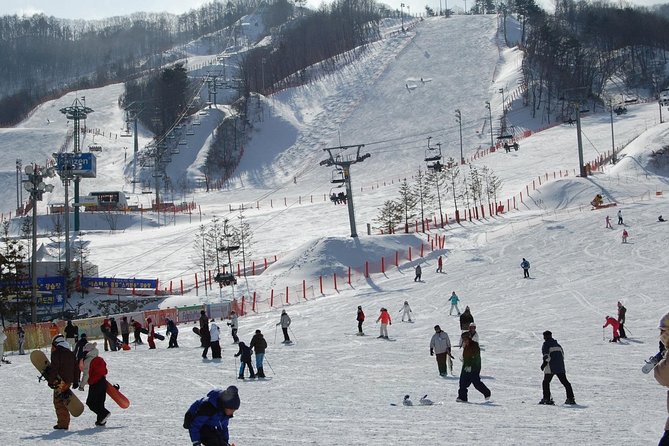 Ski Tour to Jisan Ski Resort from Seoul - Who Should Book This Ski Day (And Who Might Not)