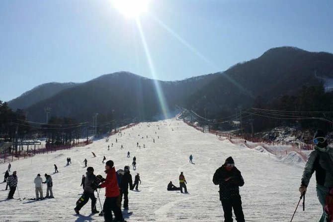 Ski Tour to Jisan Ski Resort from Seoul - Choose Your Snow Day: Snow Tour, Snow Slide, or Ski Lesson Upgrade