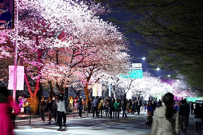 Small Group 7D Korea package Tour with Seoul Gyeongju Busan Jeju - DMZ Day 7: Imjingak, Third Tunnel, Dora Observatory, and a Suspension Bridge Walk
