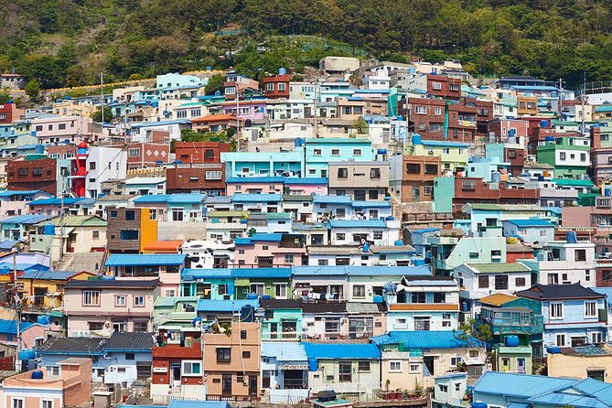 Small Group 7D Korea package Tour with Seoul Gyeongju Busan Jeju - Jeju Day 1: Black-Sand Beaches, Seongsan Sunrise Peak, and Manjanggul Cave