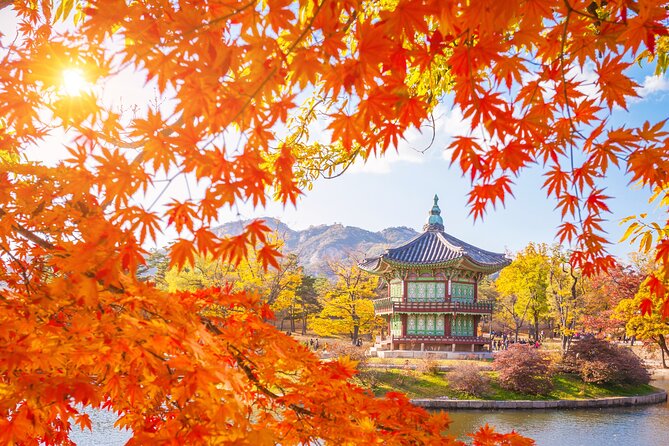Small Group (7pax) Seoul Tour with Pickup/Dropoff (No Shopping) - Why this Seoul tour works: small group pace and no shopping detours