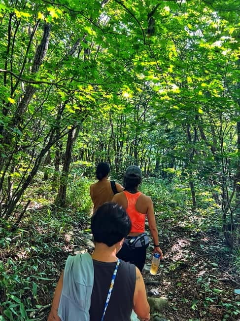 Small Group Hike on Mt. Bukhan’s Secret Paths & Local Lunch - Your Guide Matters: Min’s Bilingual Style and Patient Pacing