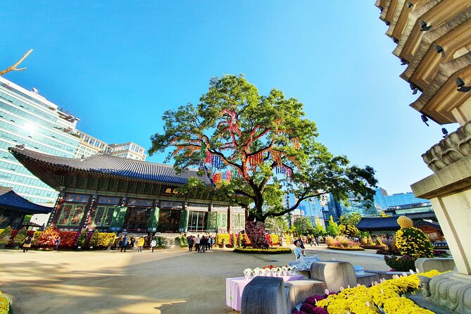 Small-Group Royal Palace and Seoul City Tour (hotel pick-up) - Cheong Wa Dae Views, Ginseng Museum Time, and Why These Stops Exist