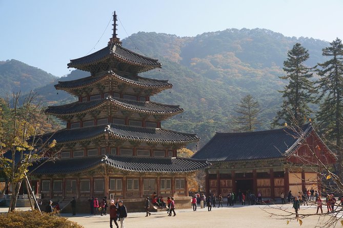 Songnisan National Park & Beopjusa Temple UNESCO site Private Tour - Price and Value: When $248 Actually Makes Sense