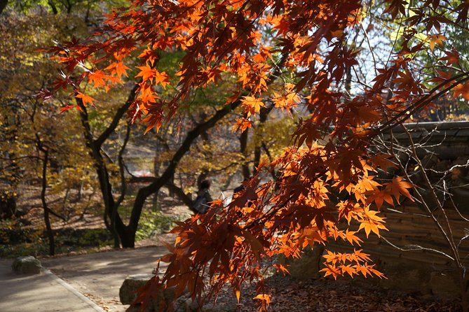 Songnisan National Park & Beopjusa Temple UNESCO site Private Tour - Who This Tour Fits Best (And Who Might Not Love It)