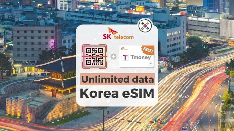 South Korea: Unlimited Data and Voice eSIM - If Your Phone Says No: Compatibility and Unlocked-Phone Requirements