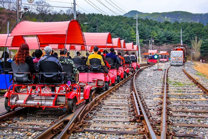 Special Private Tour Nami Island, Rail Bike, Petite France - Stop 4: Chicken Barbecue Lunch at 호원가든 (A Real Rest Point)