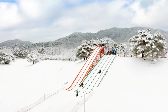 Strawberry Picking, Winter Sled with Eobi Ice Valley from Seoul - Key highlights at a glance