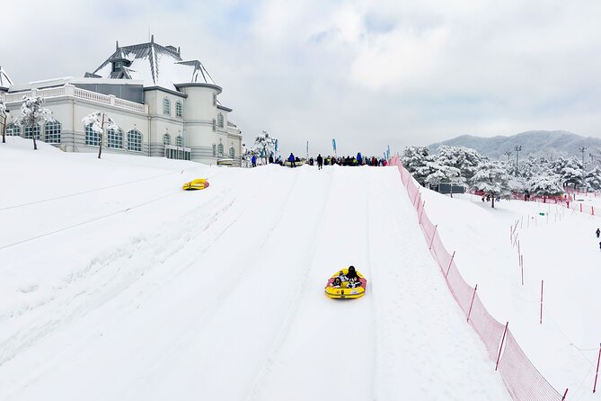 Strawberry Picking, Winter Sled with Eobi Ice Valley from Seoul - Vivaldi Park Snowyland: 3 Hours of Sledding and Winter Photo Zones